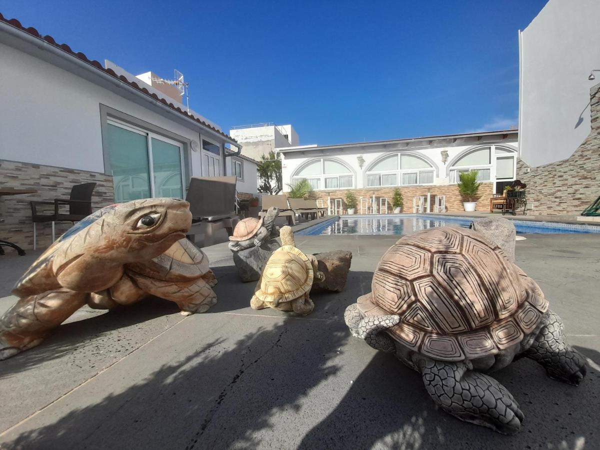Tenerife Little Village San Isidro  Exterior photo